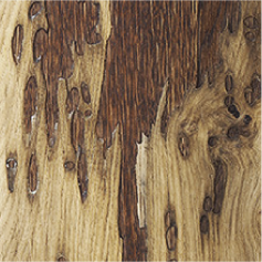 Mina Classic - Venice Wood - Máquinas de café espresso profissionais
