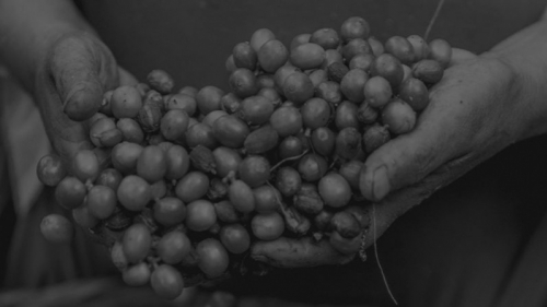 Sustainability, an important part of the company