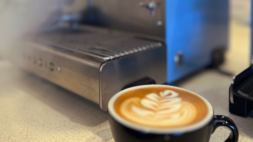 Homebrewed Perfection: Elevating Your Coffee Experience with the Studio