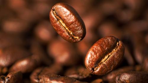Proper Coffee Storage for Home Baristas