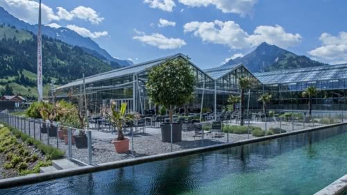 A jungle in the heart of Switzerland: Tropenhaus